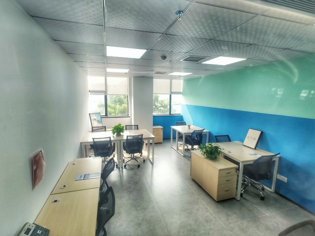 泰州肉圆炖蒲菜批发